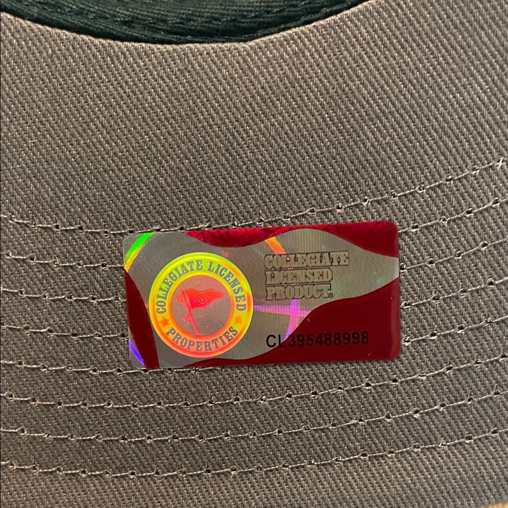 Baylor University Green and Gold Snapback Hat - Picture 6 of 7